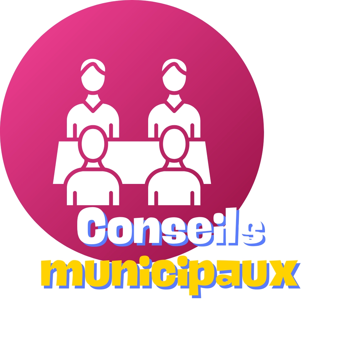 Conseil municipal du 10 décembre 2024